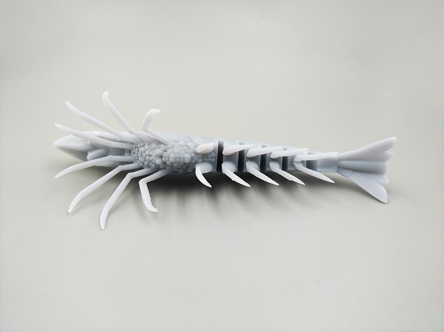 Gray3 — Solidus 3D portfolio